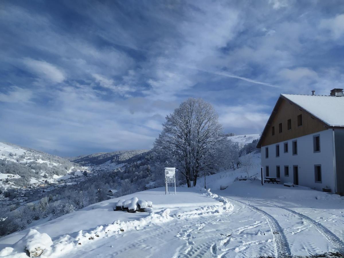 Gites De Moyenmont La Bresse Εξωτερικό φωτογραφία