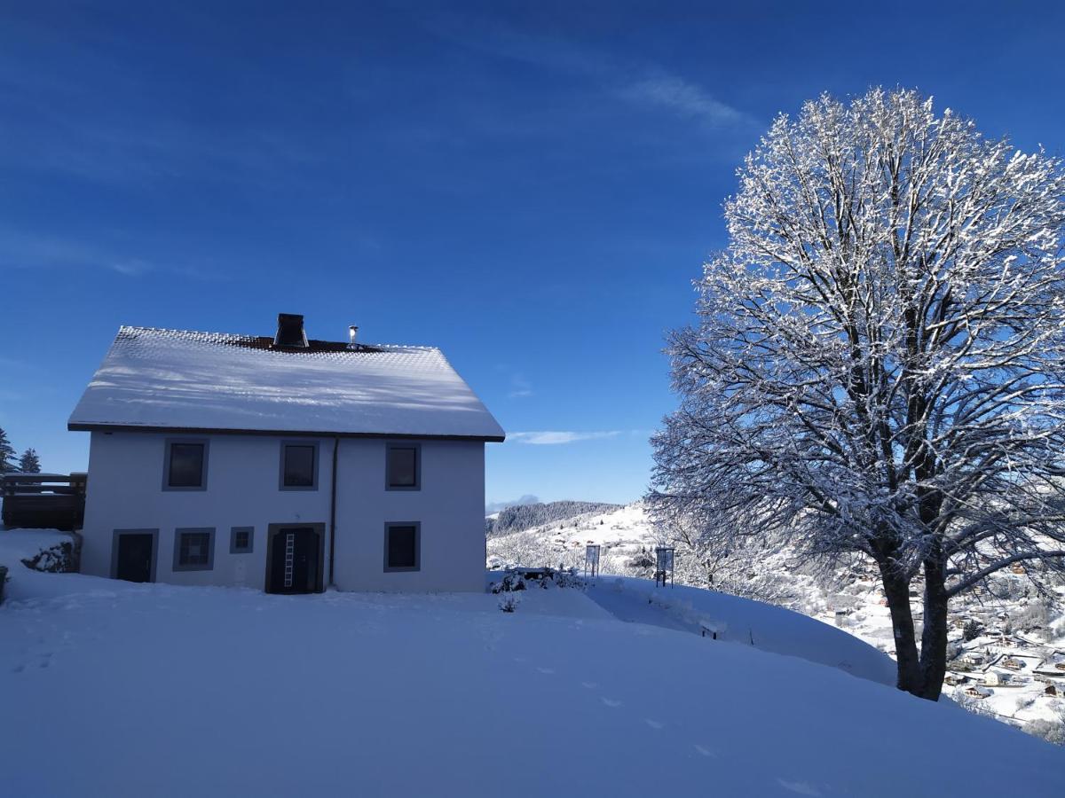 Gites De Moyenmont La Bresse Εξωτερικό φωτογραφία