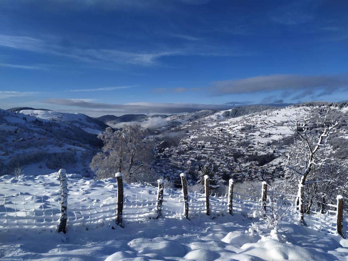 Gites De Moyenmont La Bresse Εξωτερικό φωτογραφία