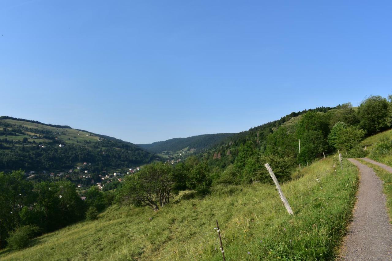 Gites De Moyenmont La Bresse Εξωτερικό φωτογραφία